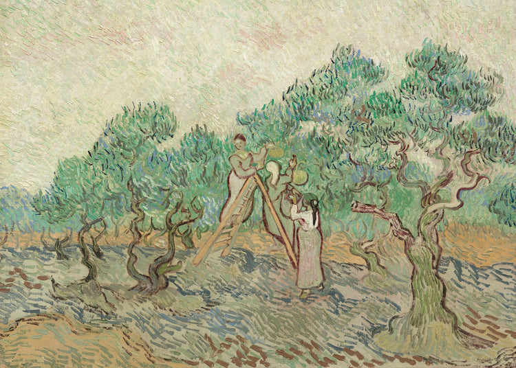 Vincent van Gogh olive harvest landscape art print featuring figures picking olives among twisted trees under a textured sky.