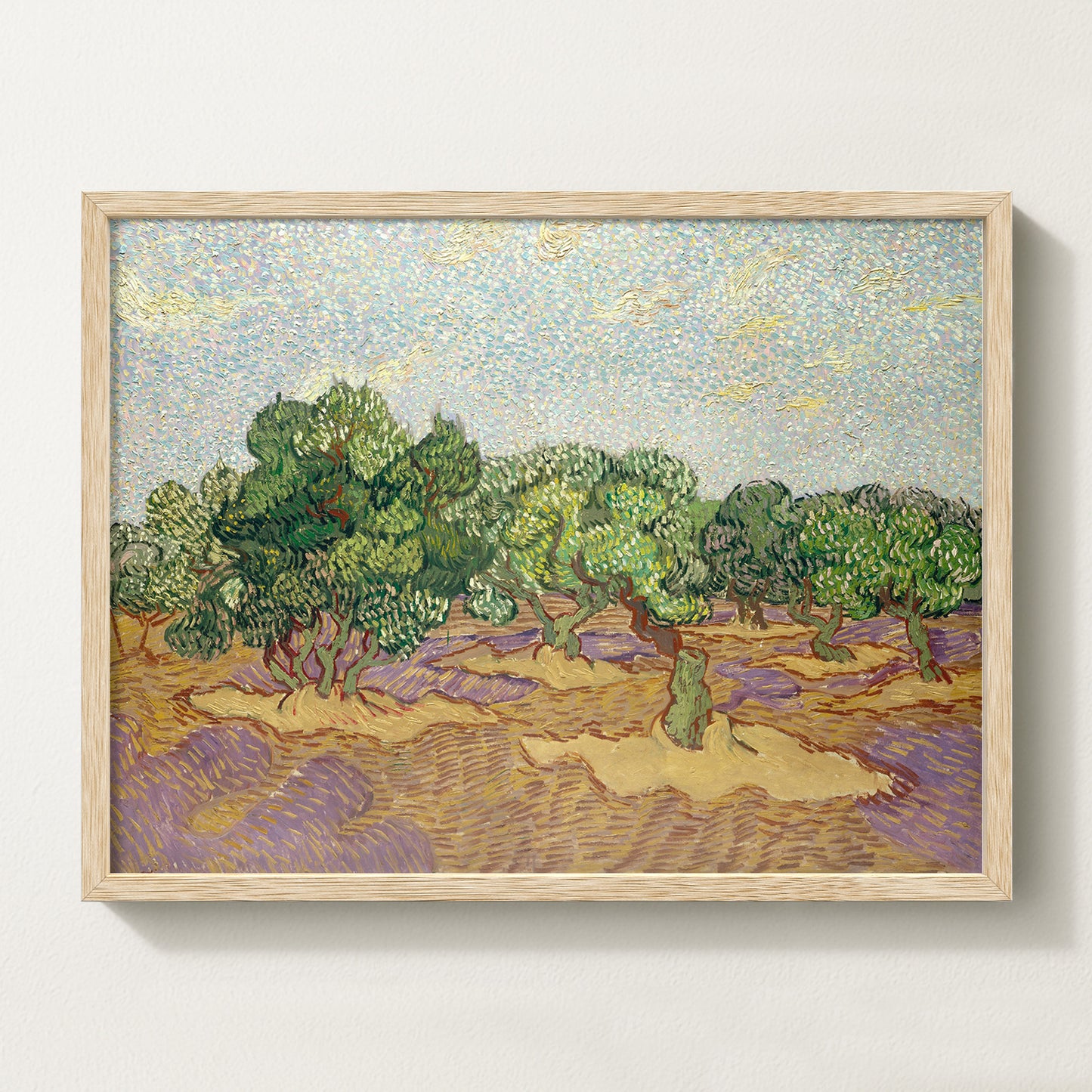 Olives Landscape III