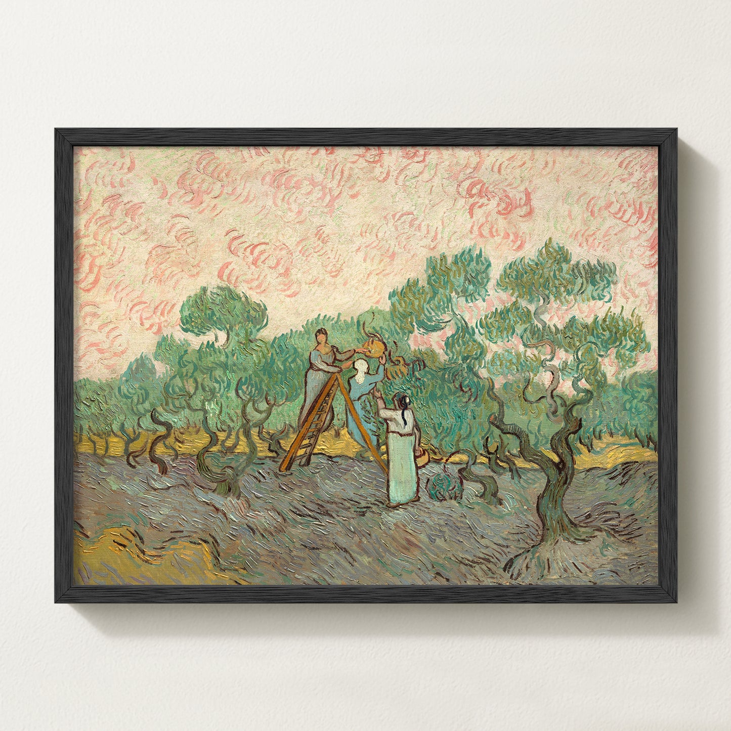 Olives Landscape V