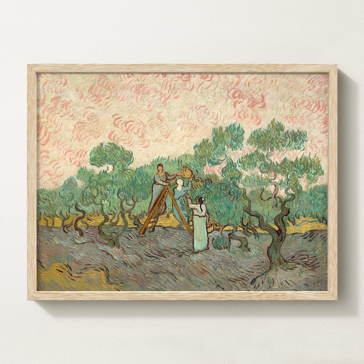 Olives Landscape V