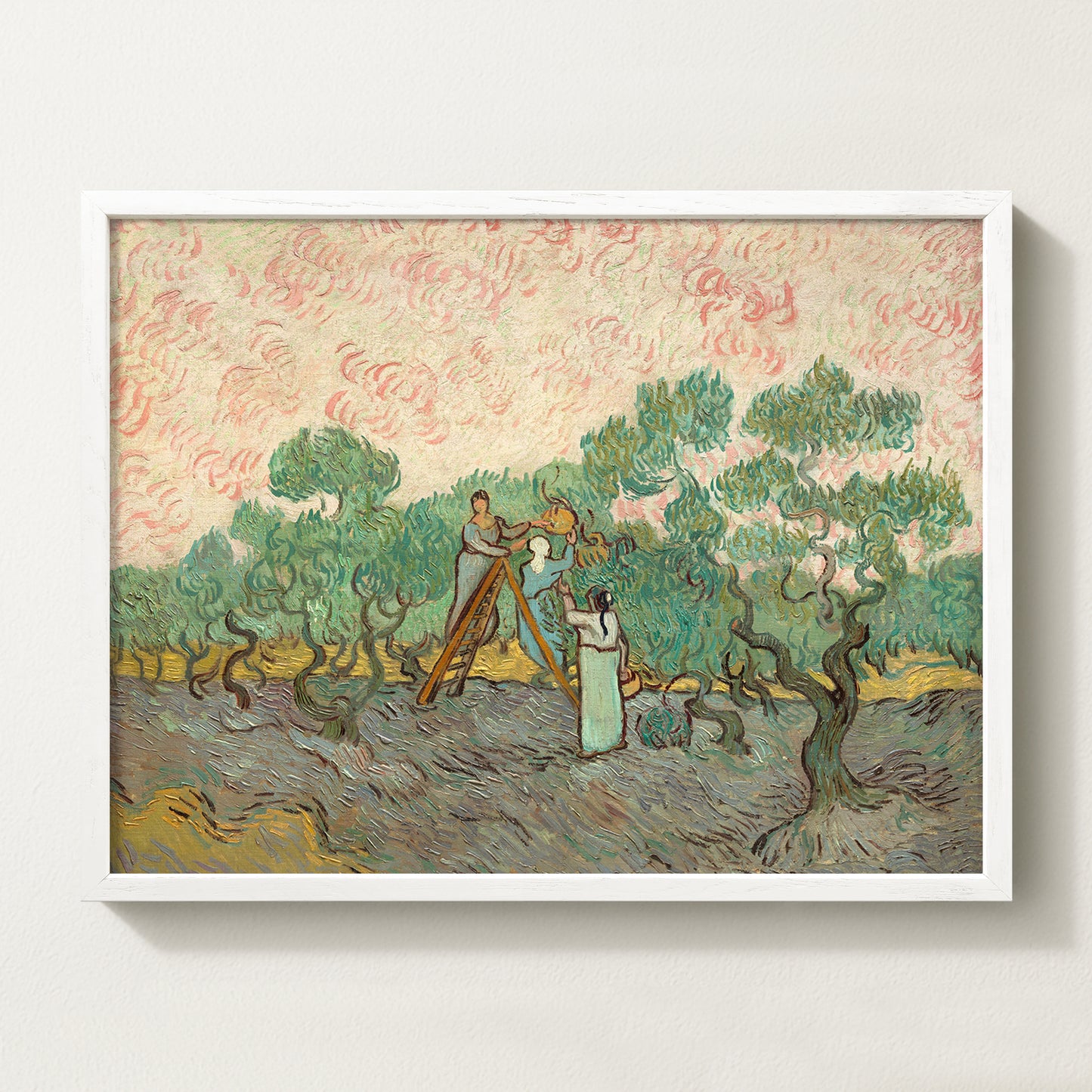 Olives Landscape V