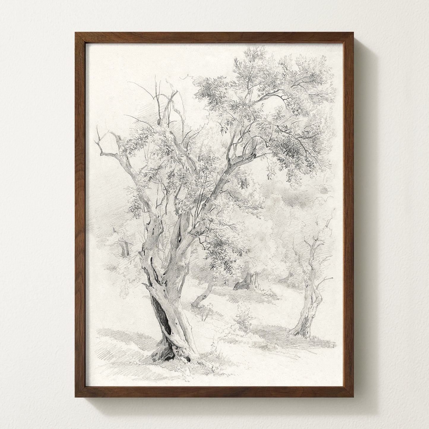 Olives Landscape VI