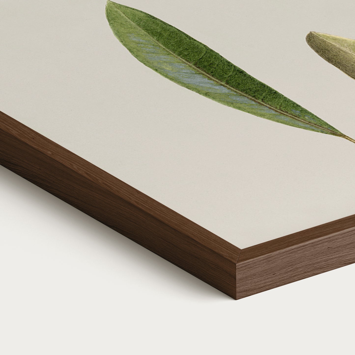 Olives VIII