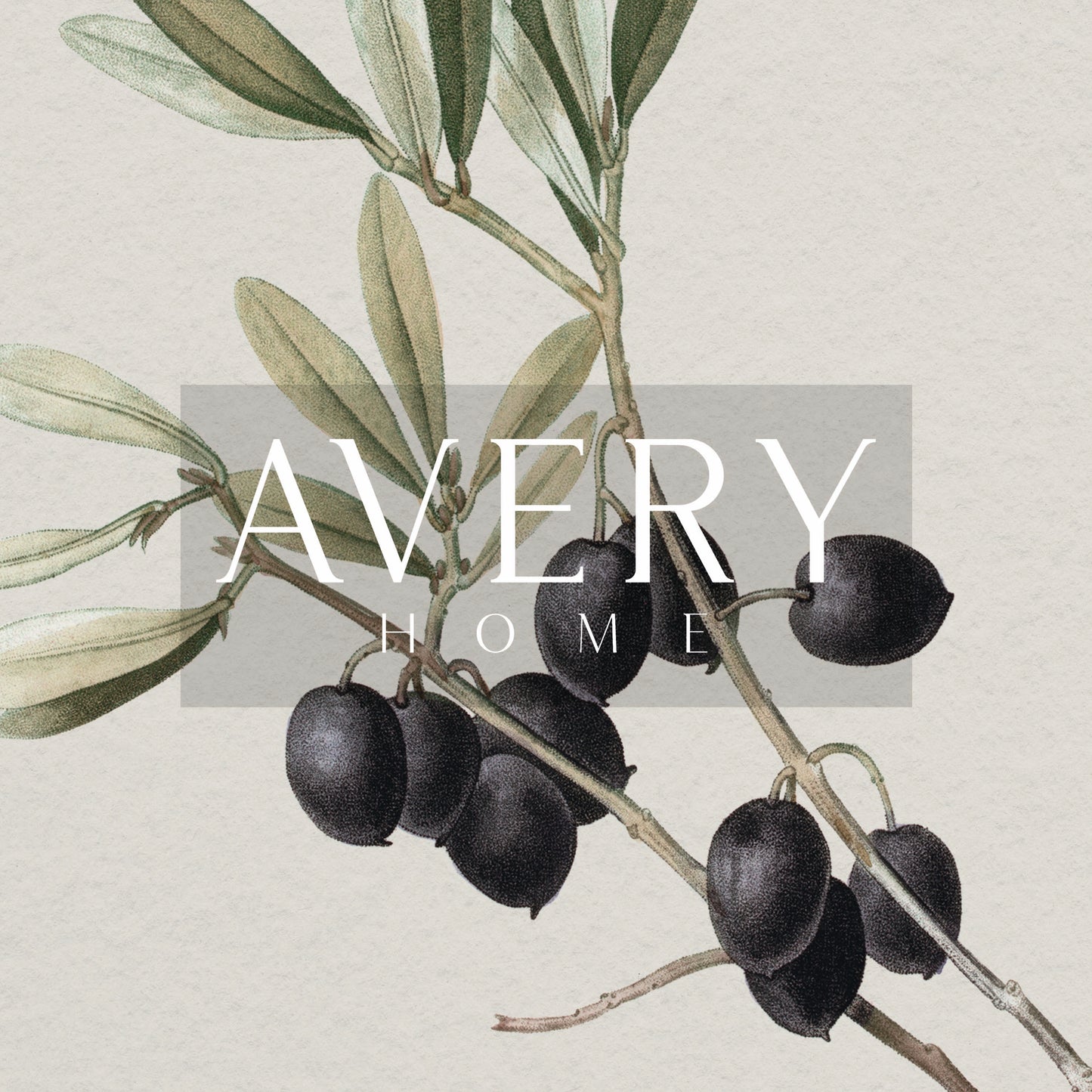 Zoomed in olive branch drawing detail and 'Avery Home' logo