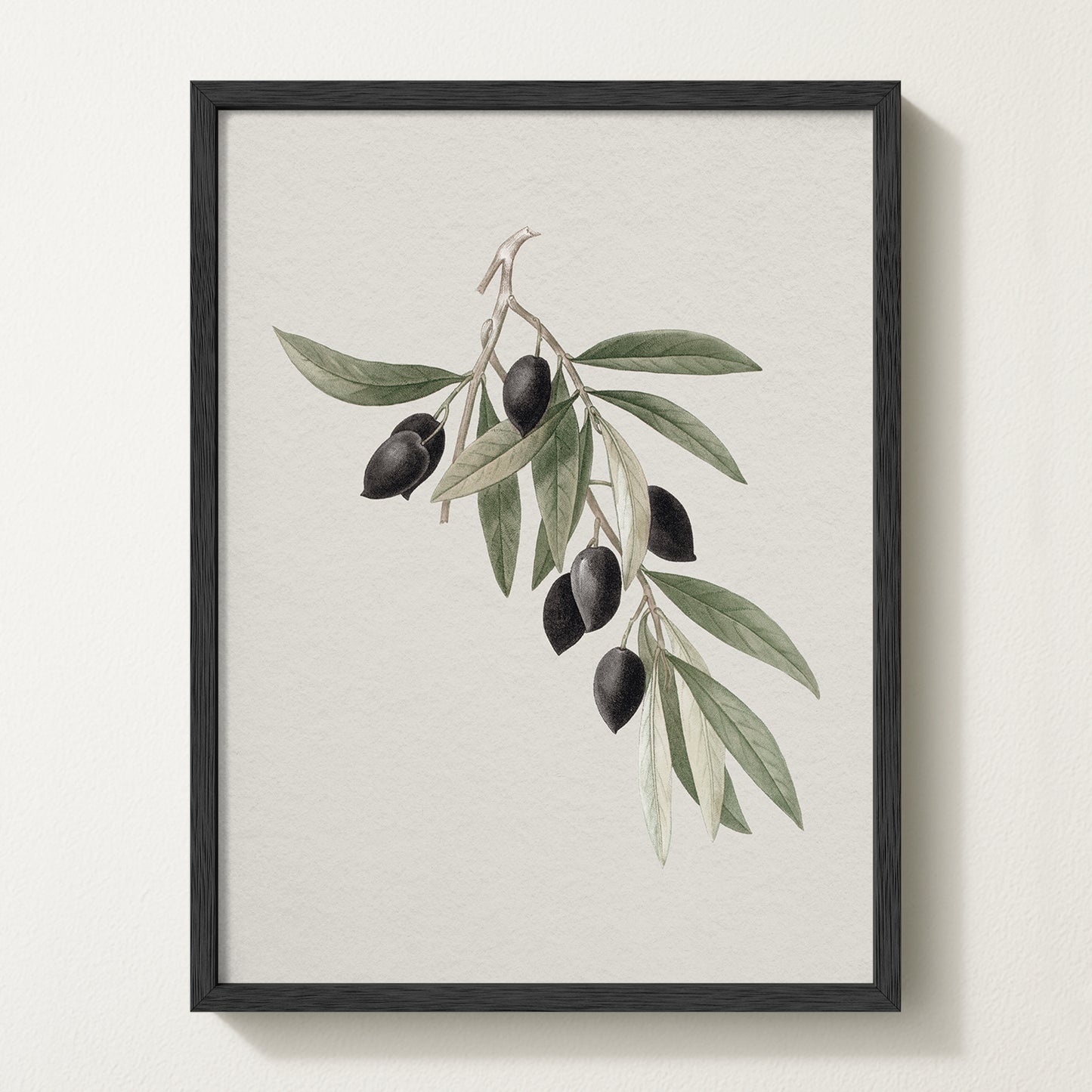 Antique olive branch print featuring black olives on a white backdrop, framed in solid oak