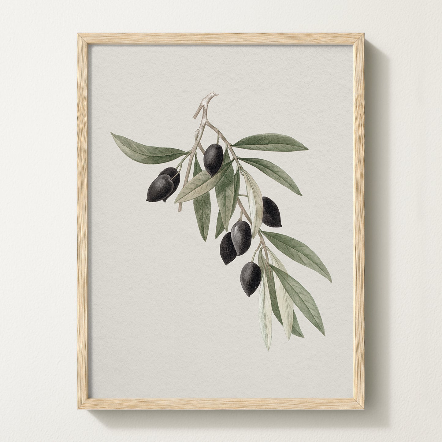 Antique olive branch print featuring black olives on a white backdrop, framed in solid oak