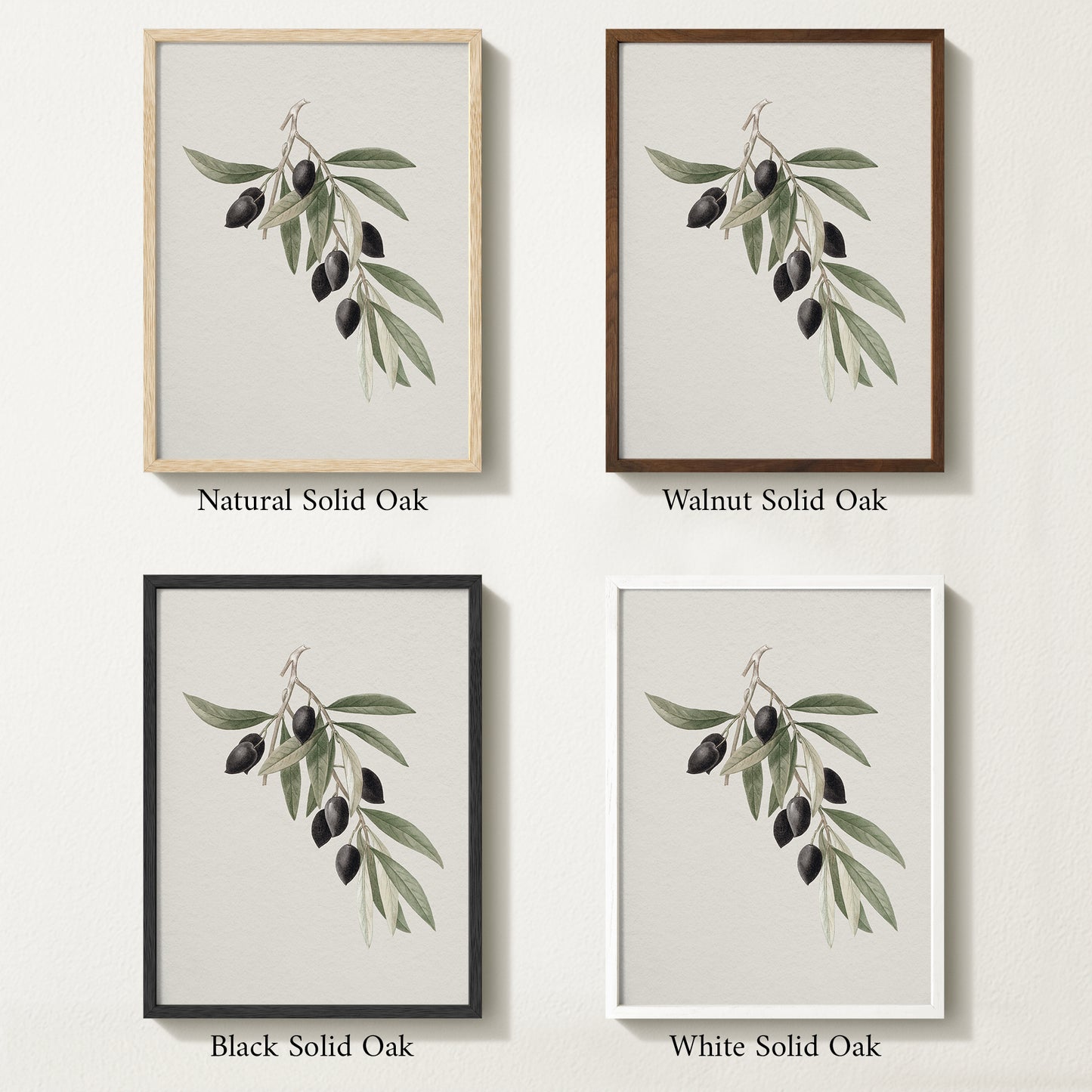 Four framed prints of vintage olive illustrations with solid American oak finishes.