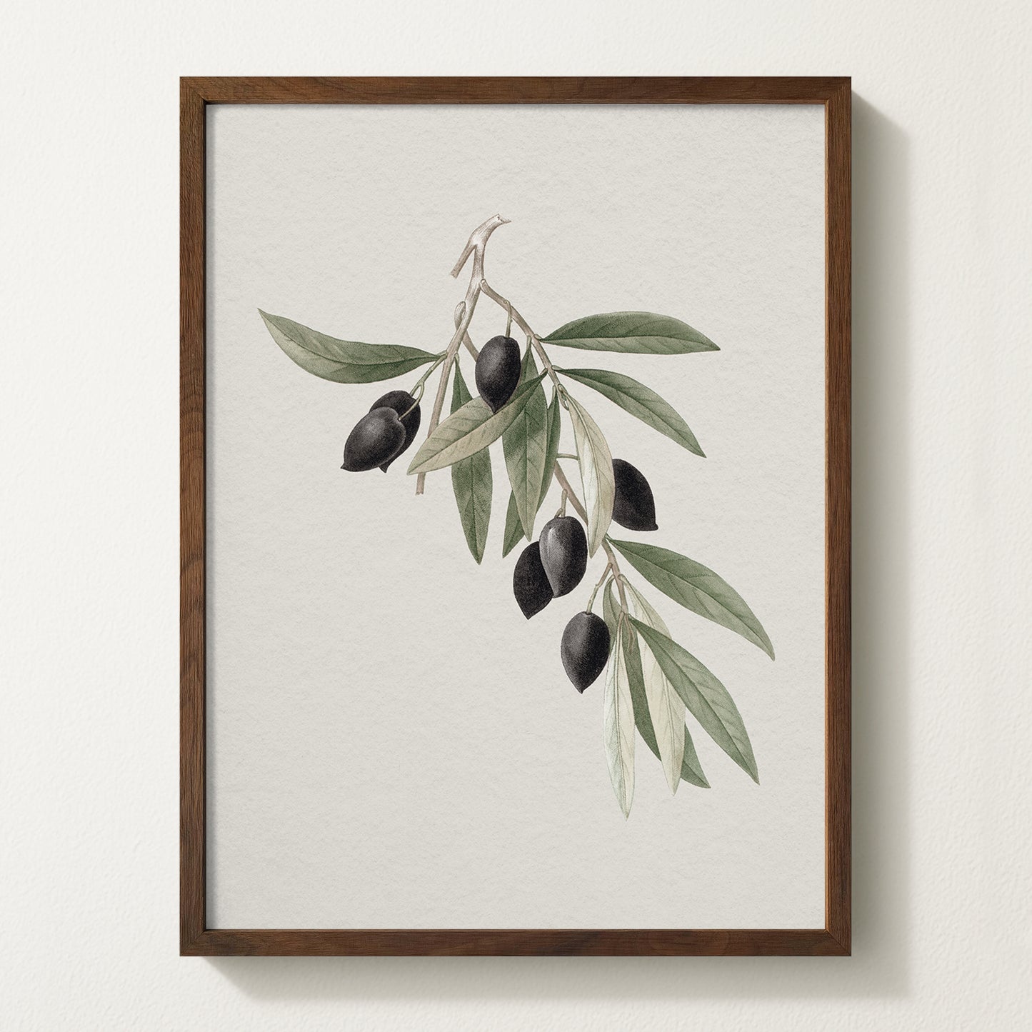 Antique olive branch print featuring black olives on a white backdrop, framed in solid oak