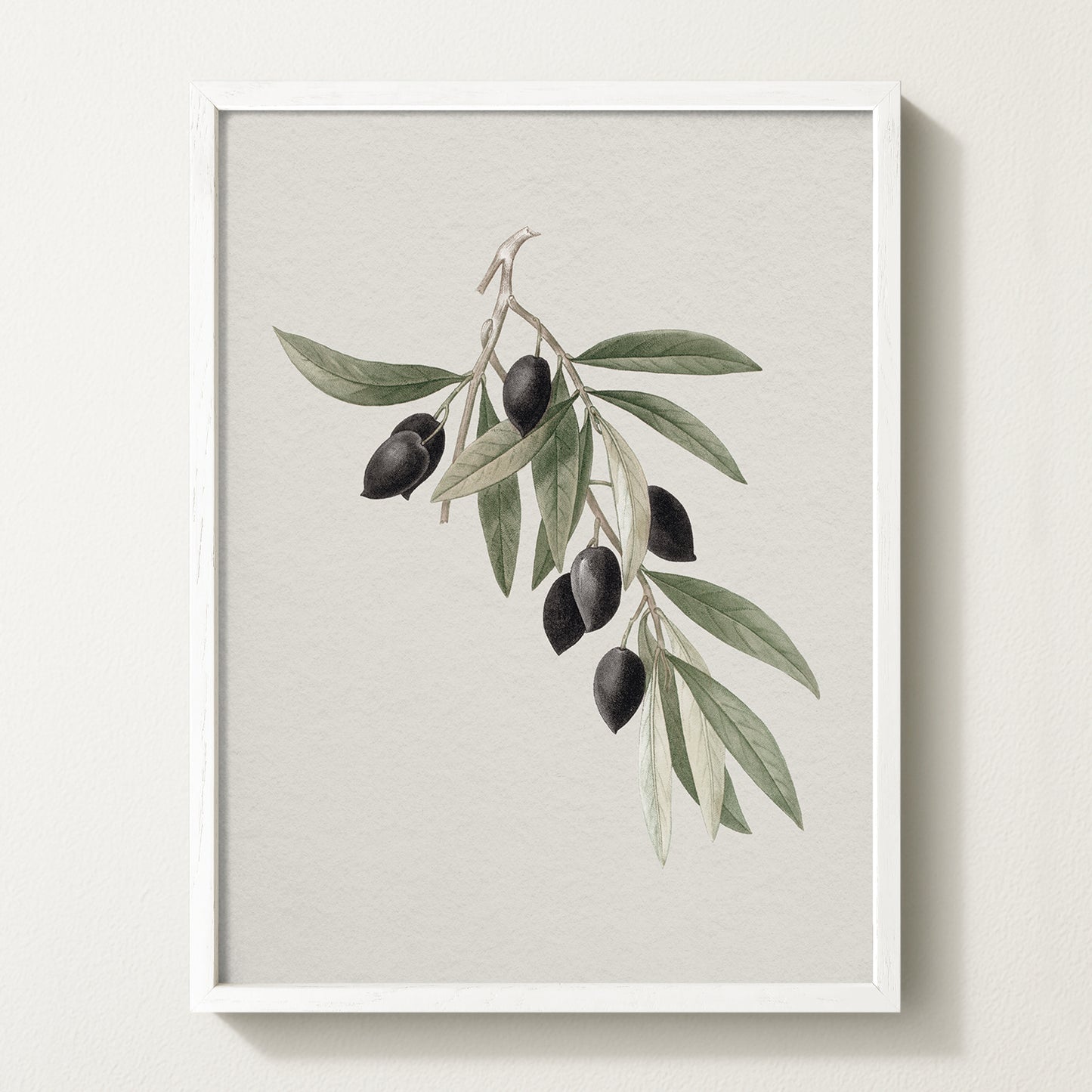 Antique olive branch print featuring black olives on a white backdrop, framed in solid oak