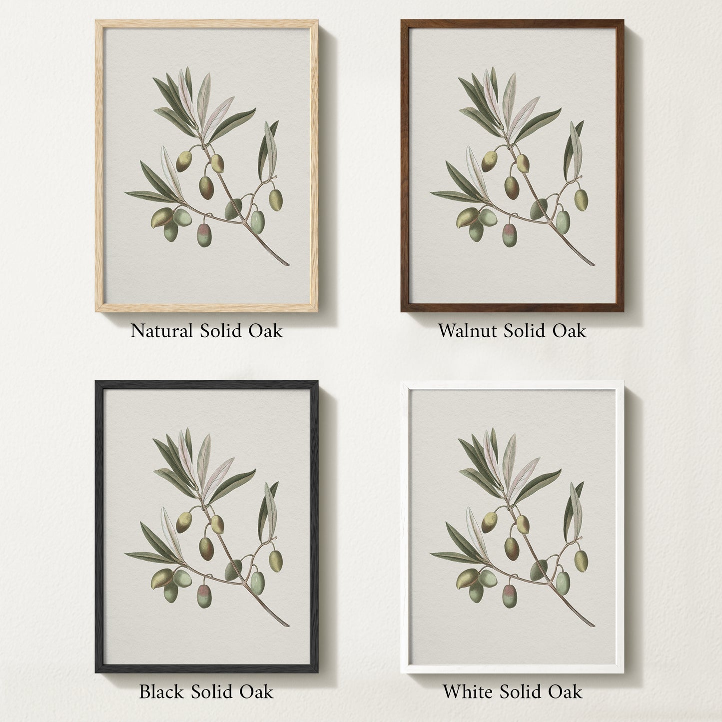 Four framed prints of vintage olive drawings with different solid oak finishes.