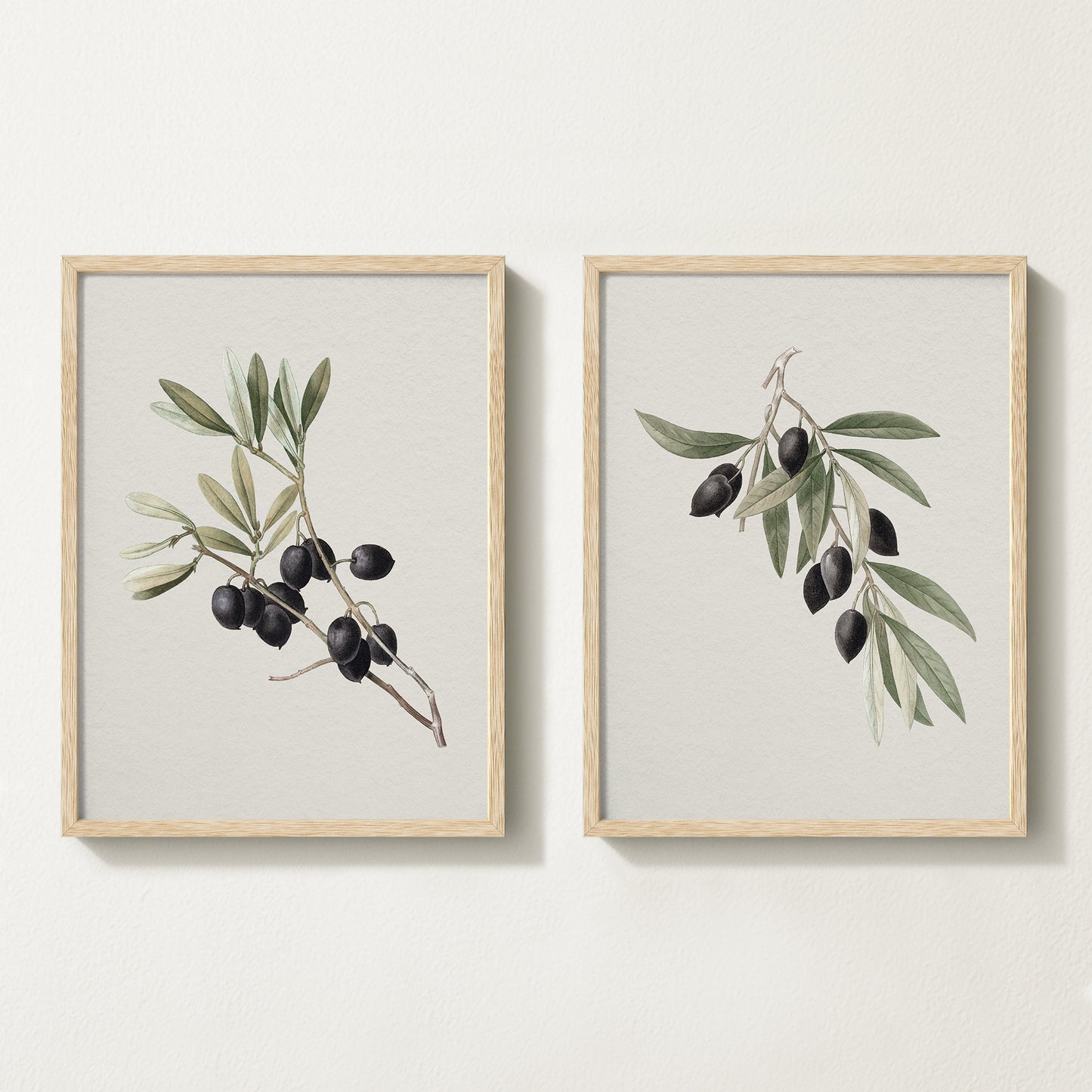 Vintage botanical artwork of an olive branch with black olives on a white background, in solid oak frame