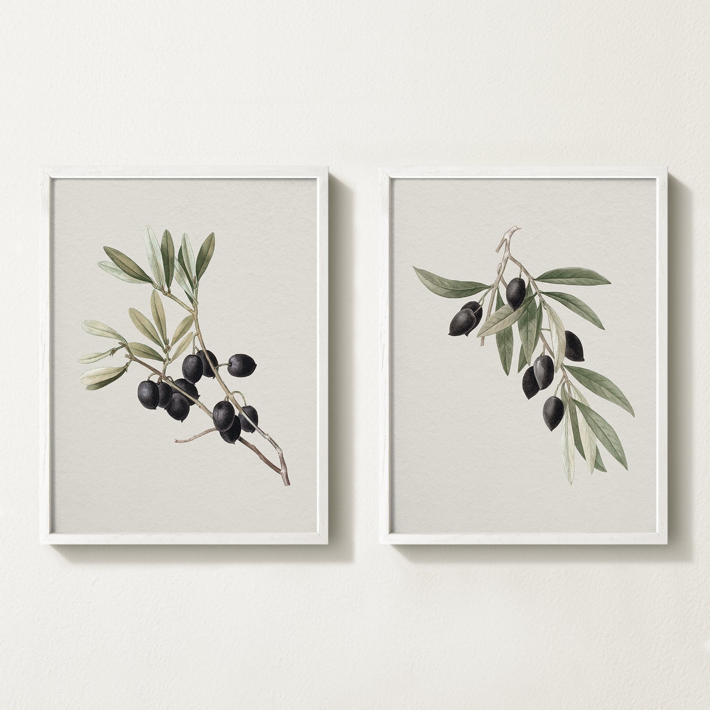 Vintage botanical artwork of an olive branch with black olives on a white background, in solid oak frame