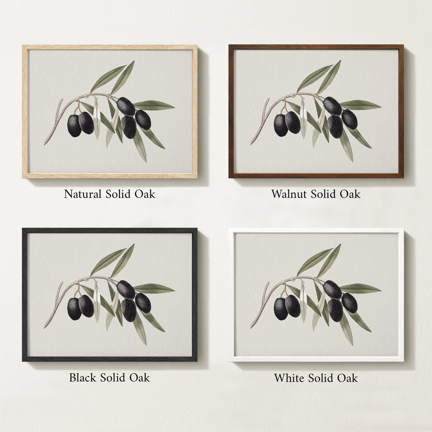 Four framed prints of vintage olive drawings with different solid oak finishes.