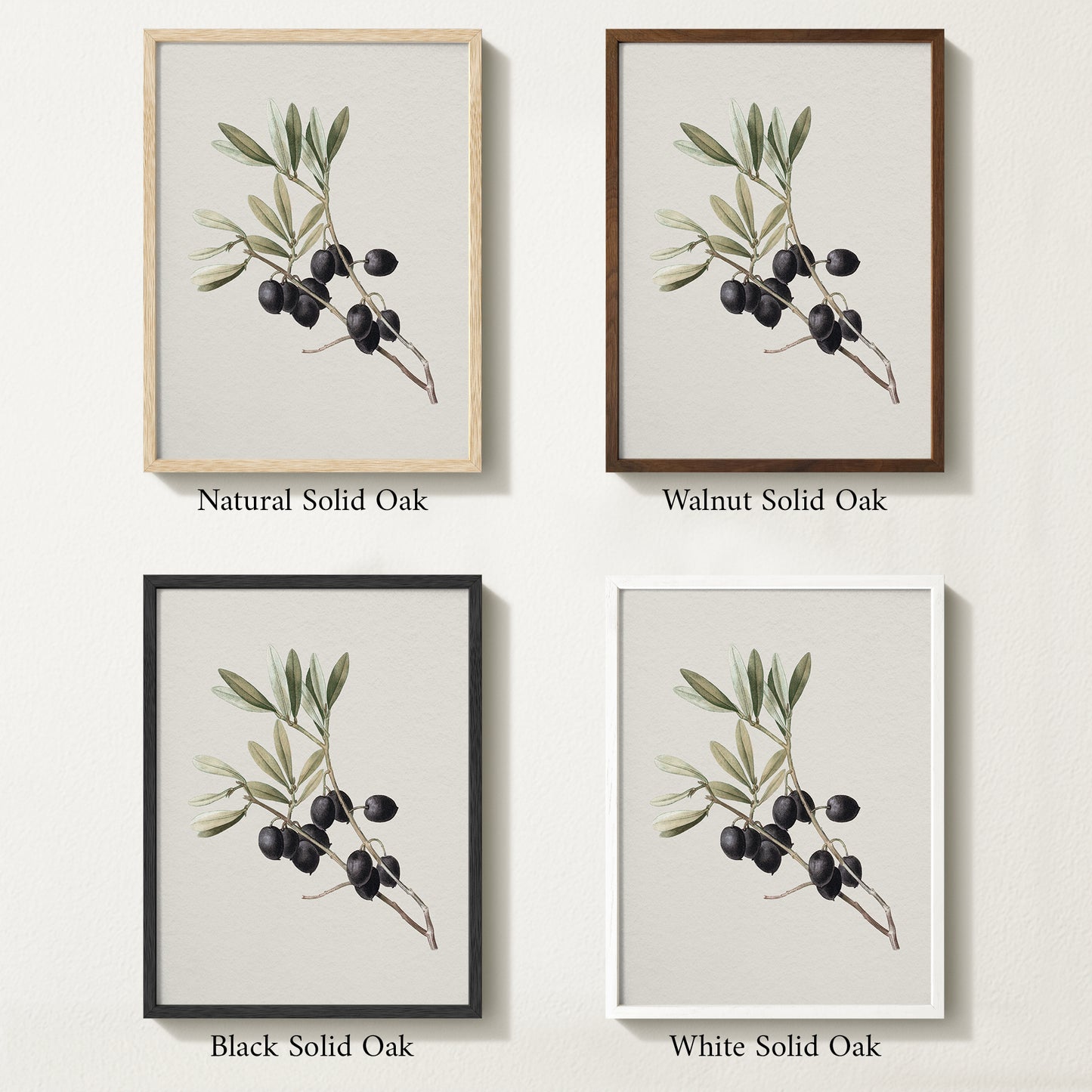 Four framed prints of vintage olive drawings with different solid oak finishes.