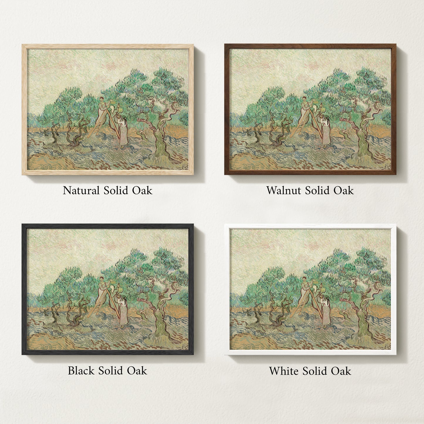 Four framed prints of vintage olive drawings with different solid oak finishes.