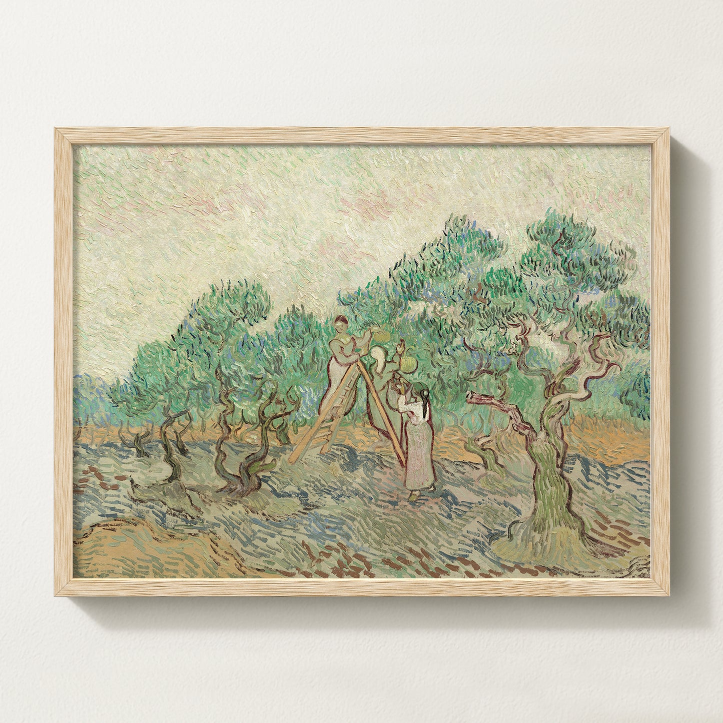 Vintage botanical artwork of an olive branch with black olives on a white background, in solid oak frame
