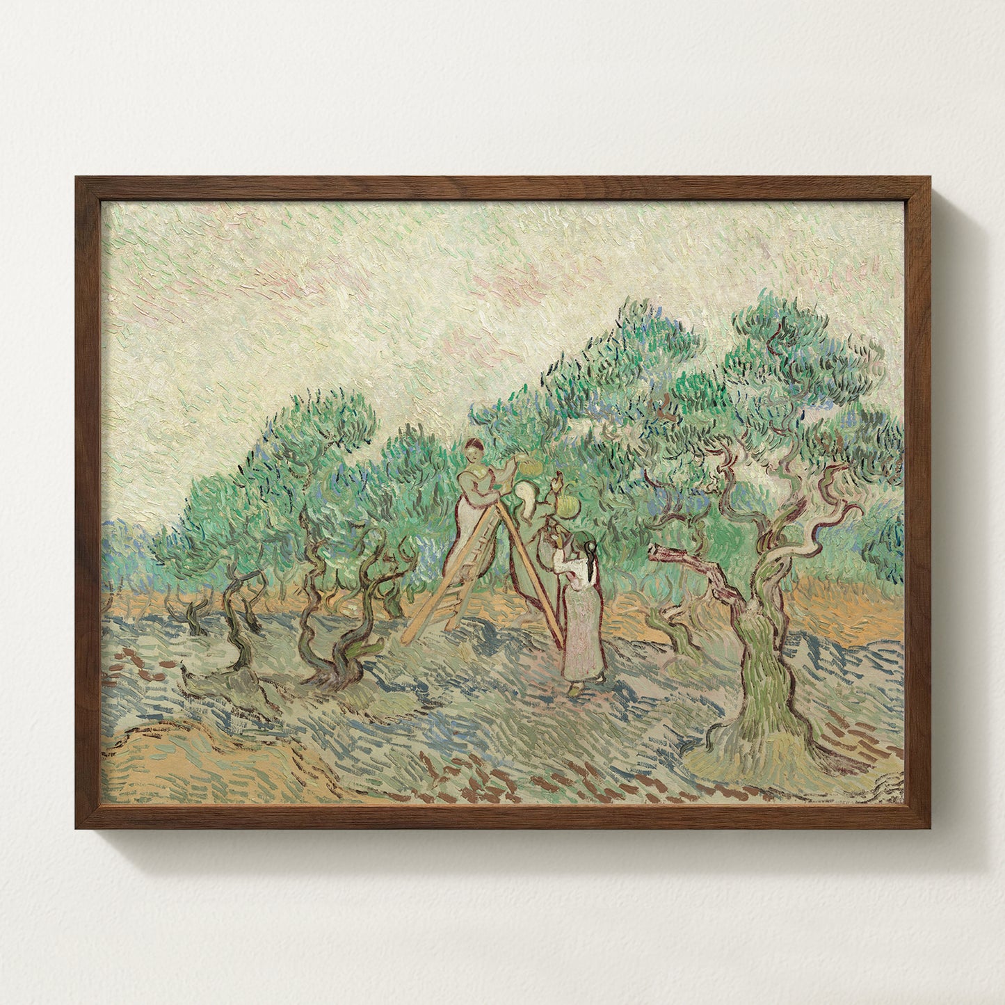 Vintage botanical artwork of an olive branch with black olives on a white background, in solid oak frame
