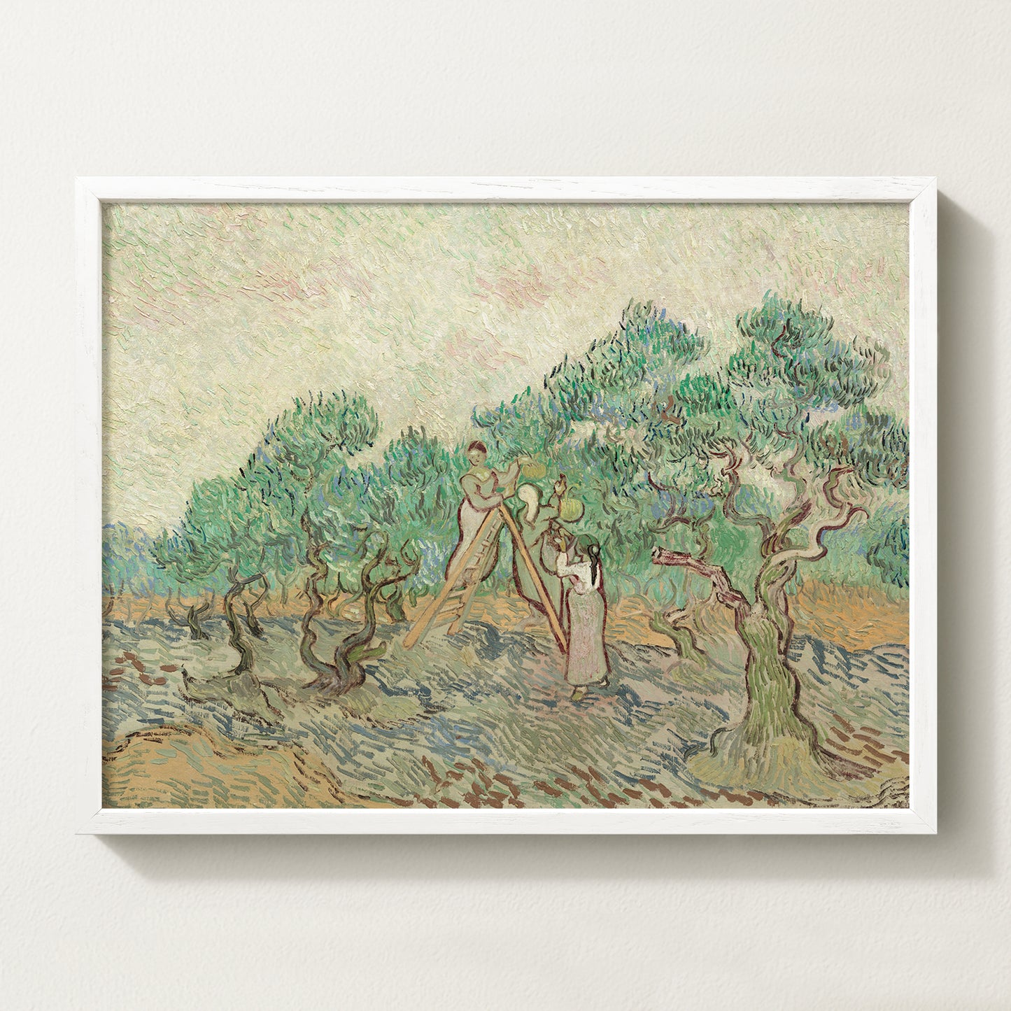 Vintage botanical artwork of an olive branch with black olives on a white background, in solid oak frame