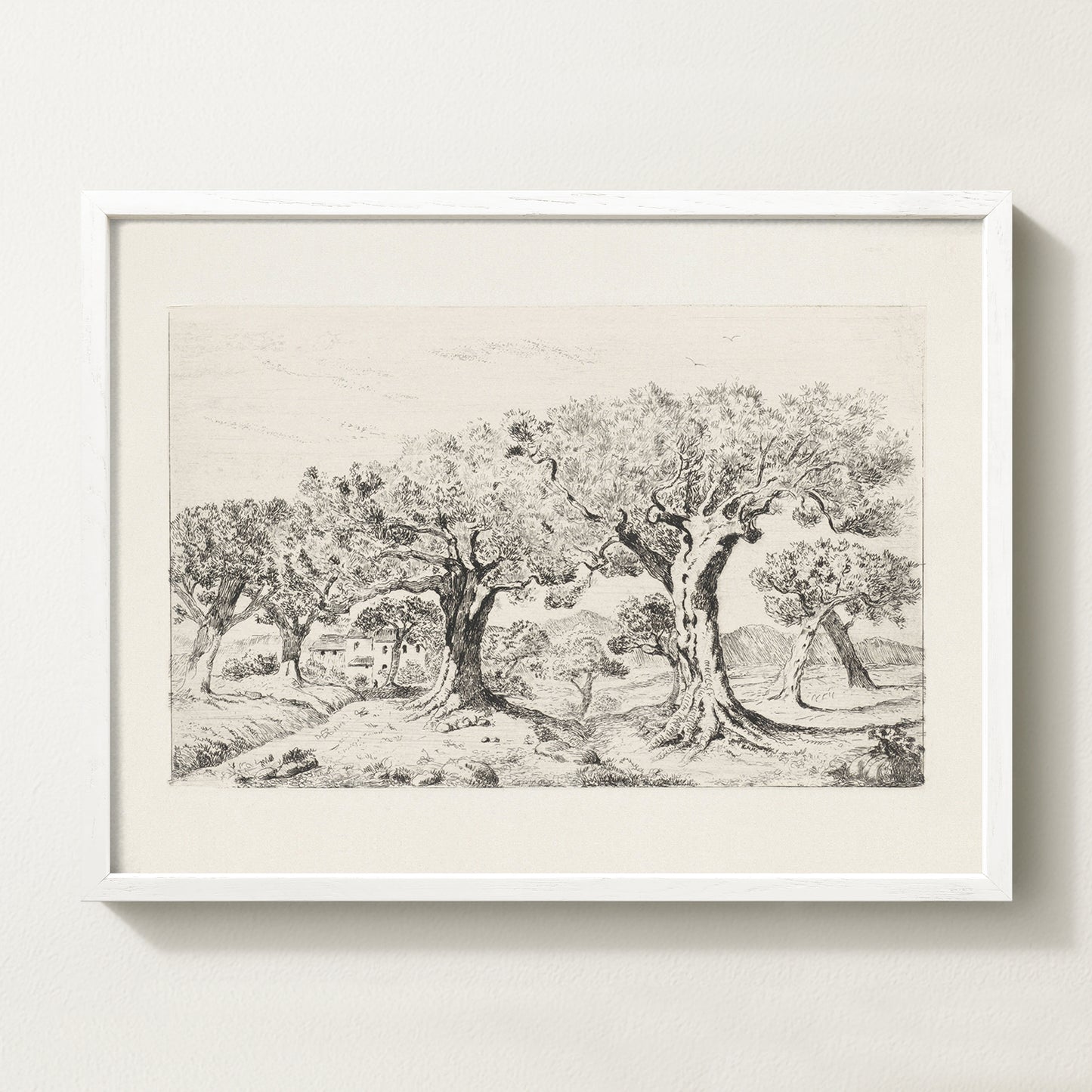 Vintage botanical artwork of an olive branch with black olives on a white background, in solid oak frame
