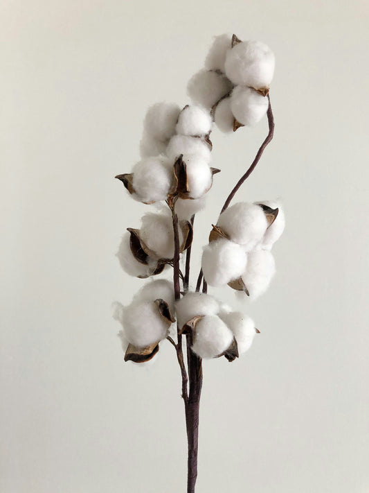 What Makes Turkish Cotton Different?