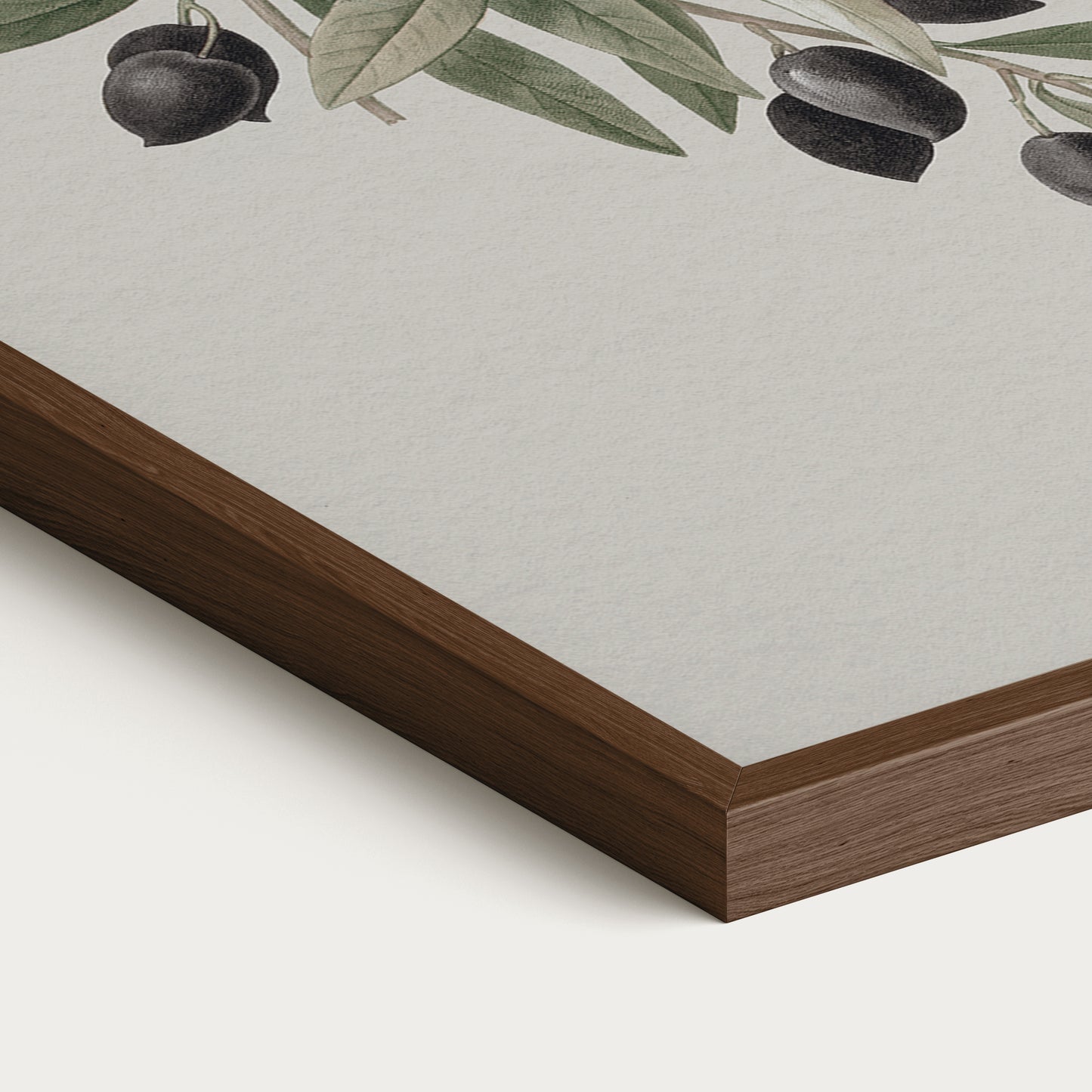 Olives Set I