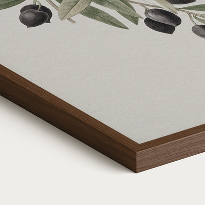 Olives Set I