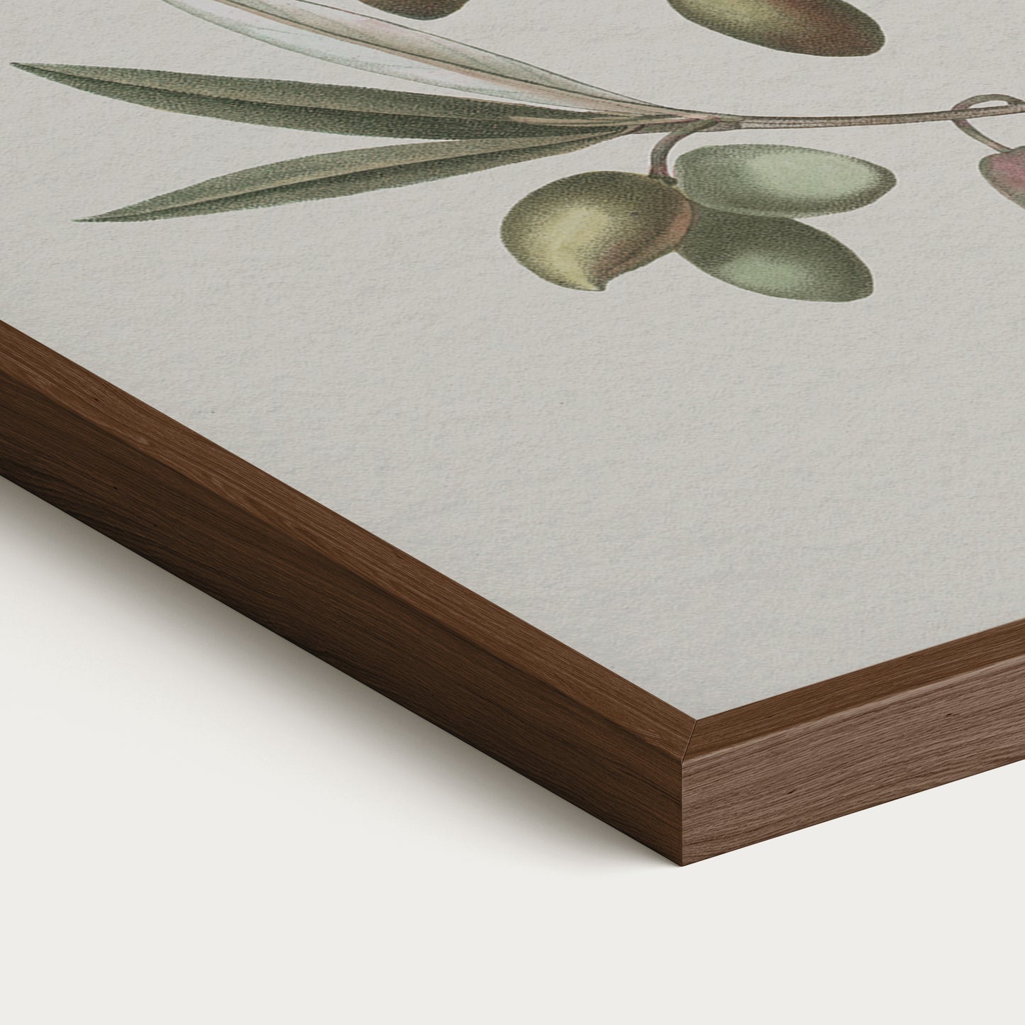 Olives IV