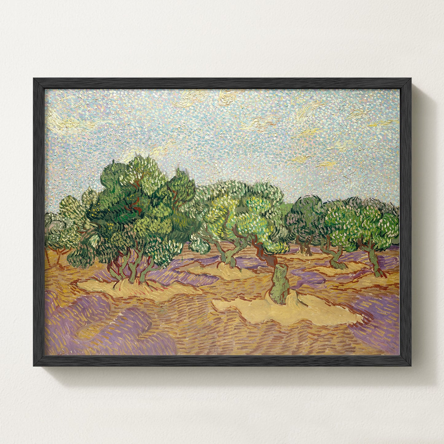 Olives Landscape III