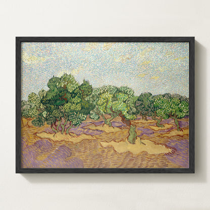 Olives Landscape III