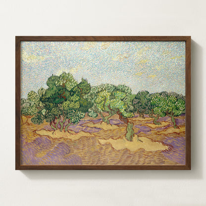 Olives Landscape III