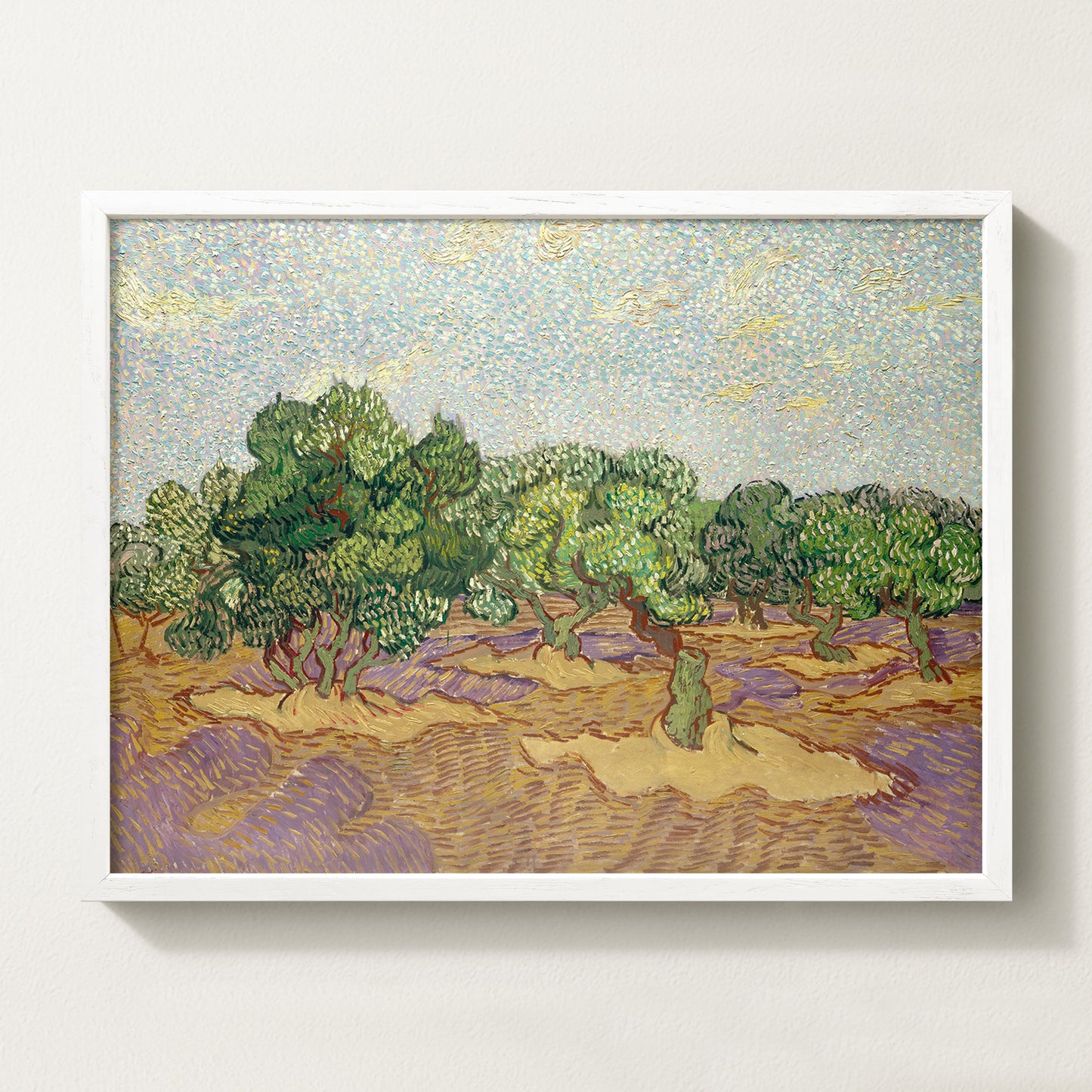Olives Landscape III