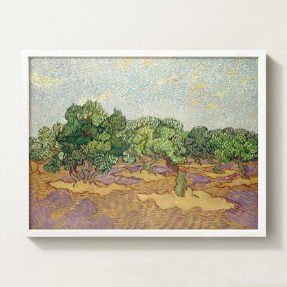Olives Landscape III