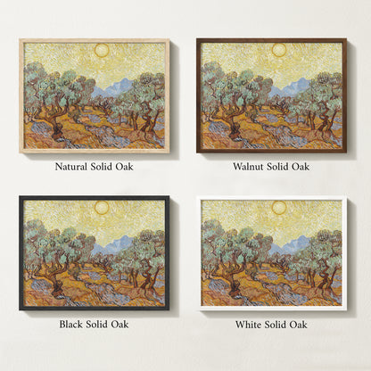 Olives Landscape IV
