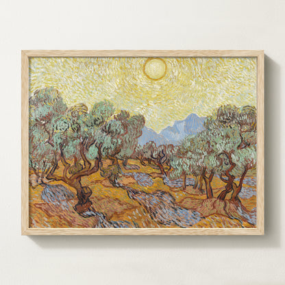 Olives Landscape IV