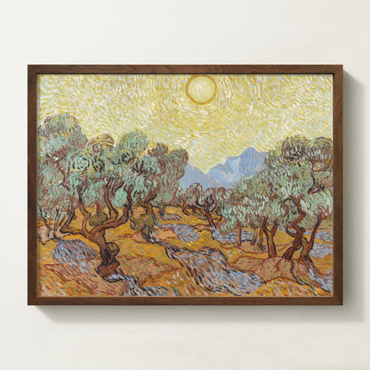 Olives Landscape IV