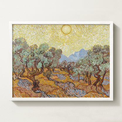 Olives Landscape IV