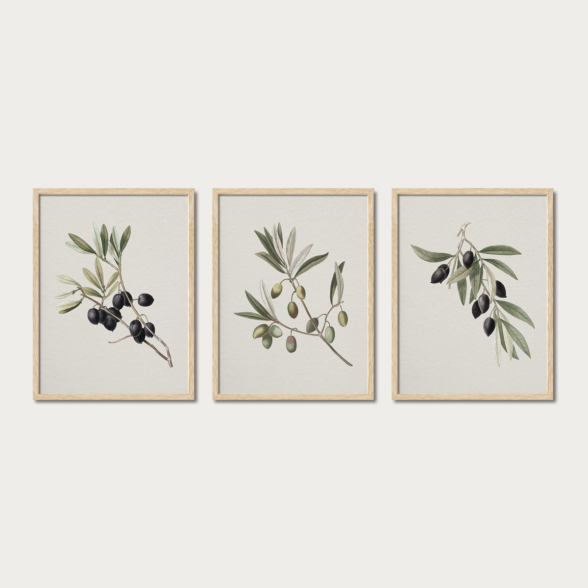 Olives Set III