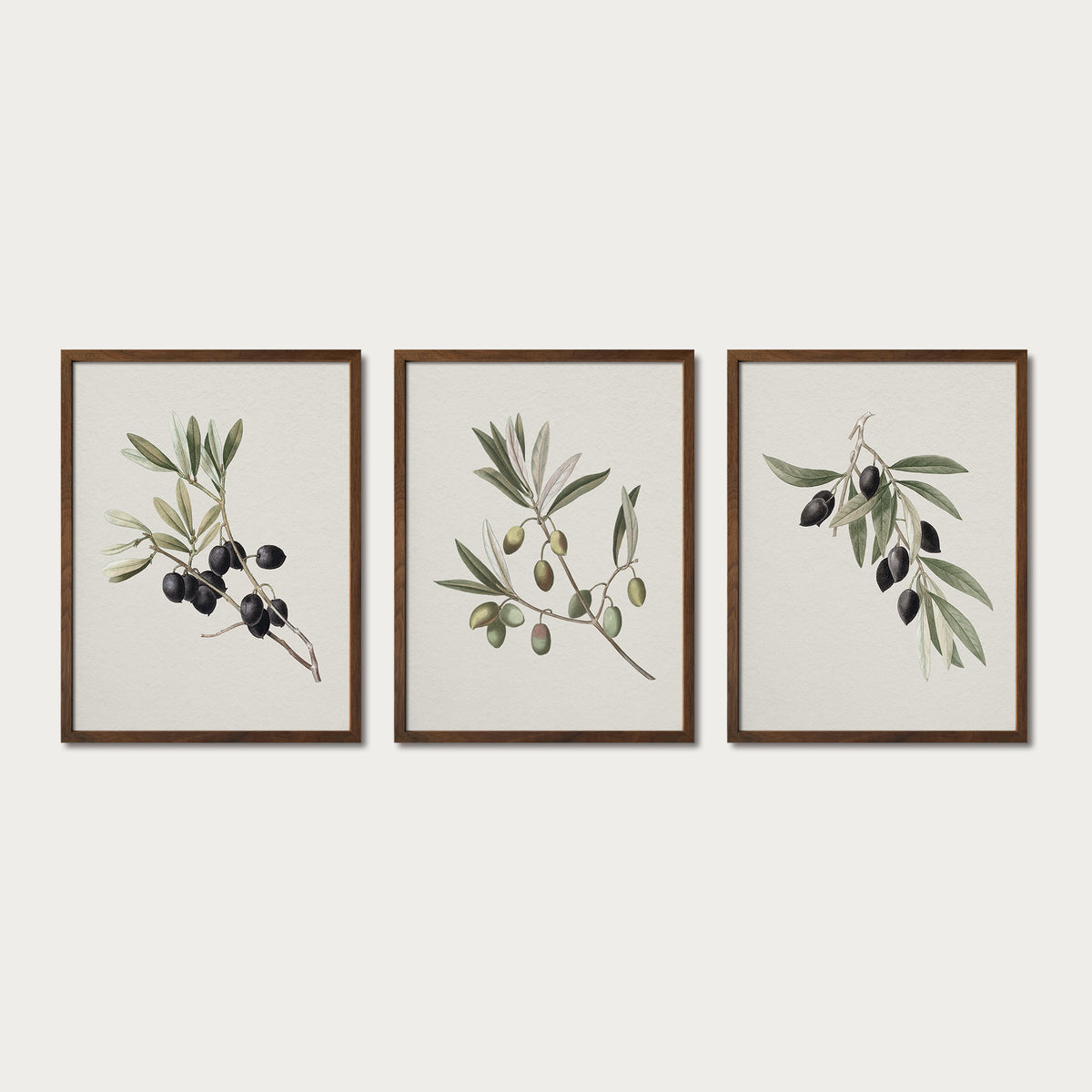 Olives Set III