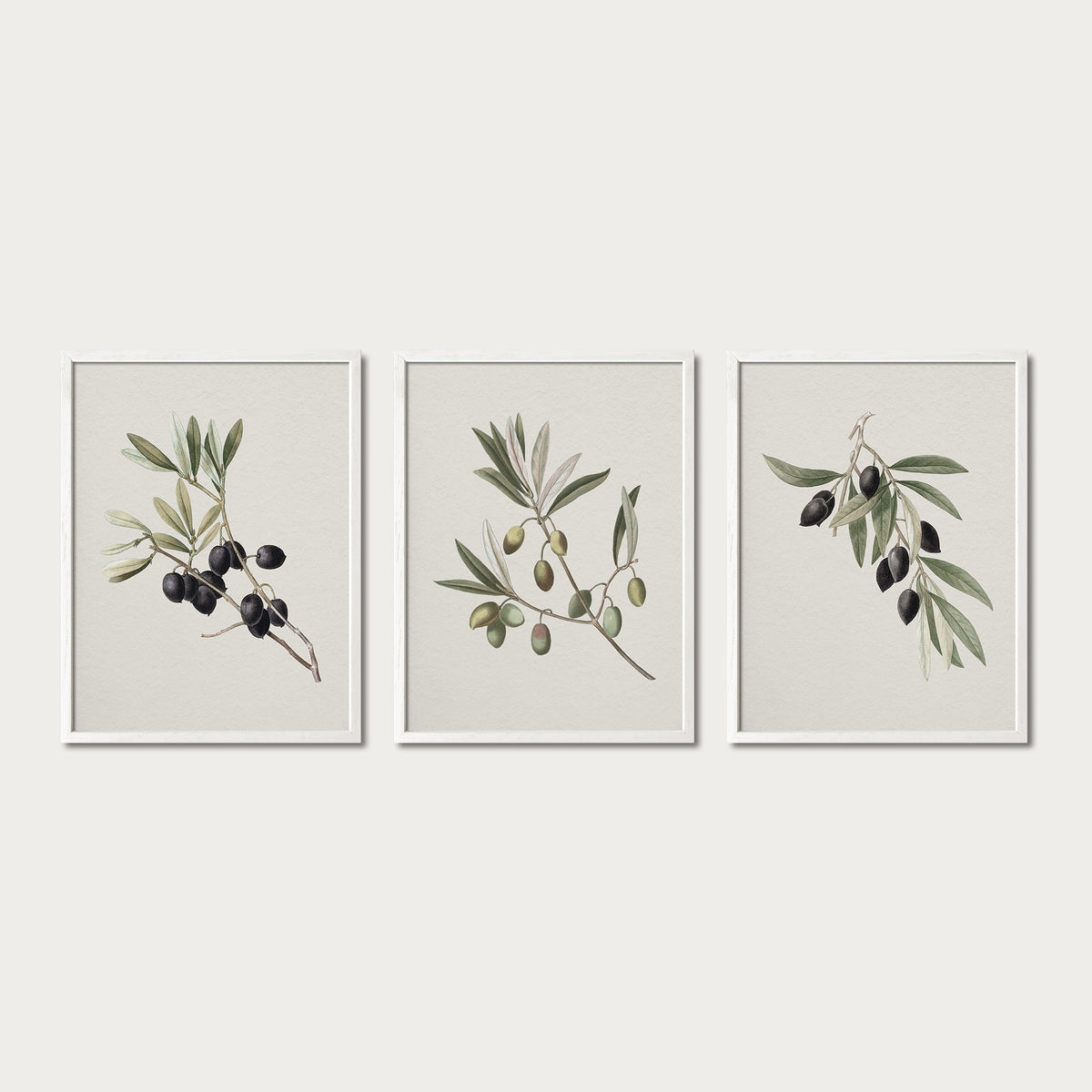 Olives Set III