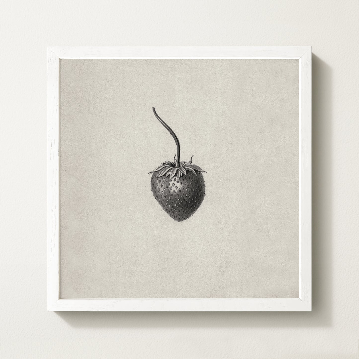 Strawberries IV