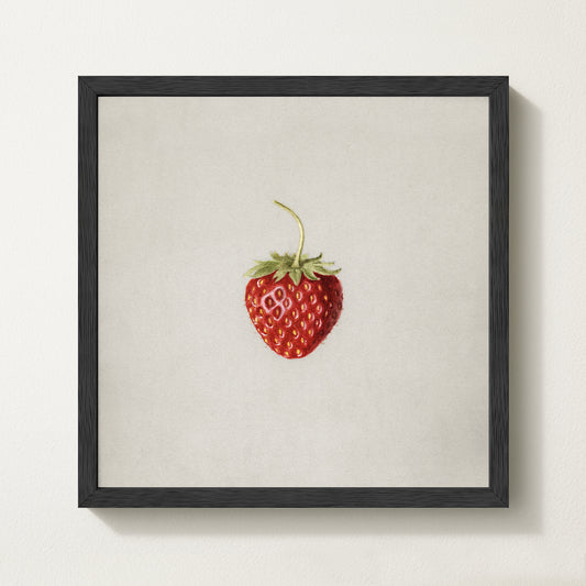 Strawberries III