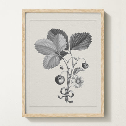 Strawberries II