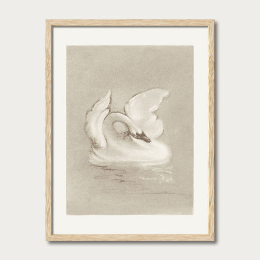 Swan I
