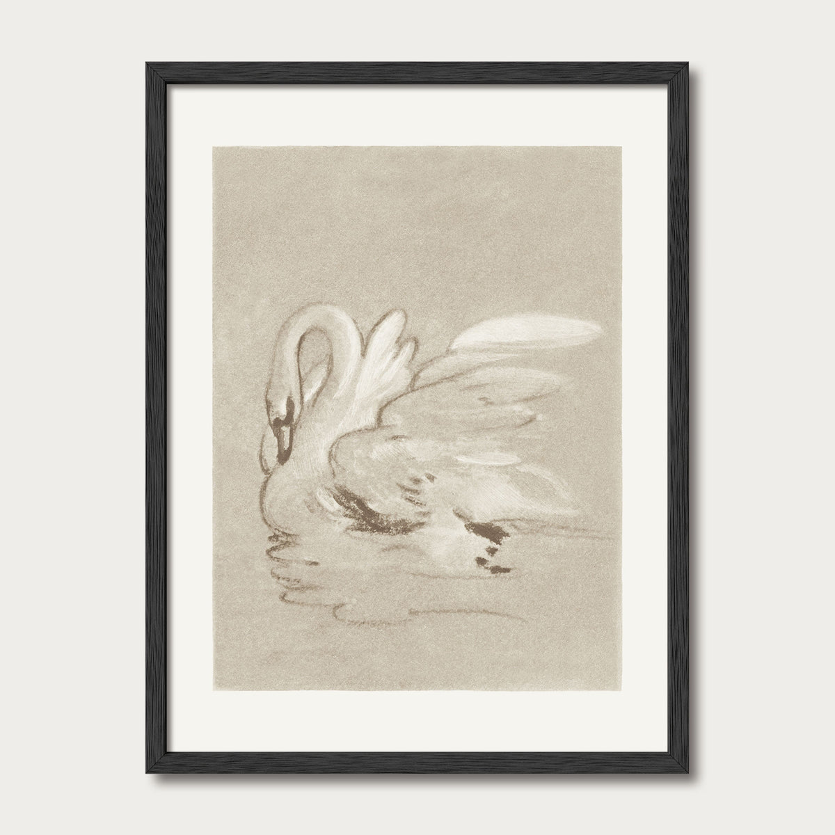 Swan II