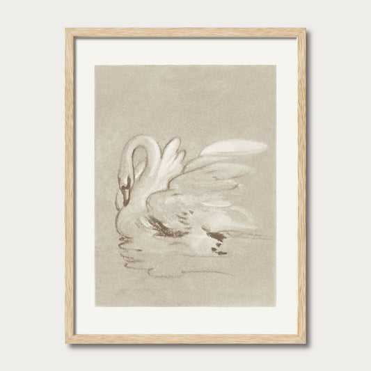 Swan II
