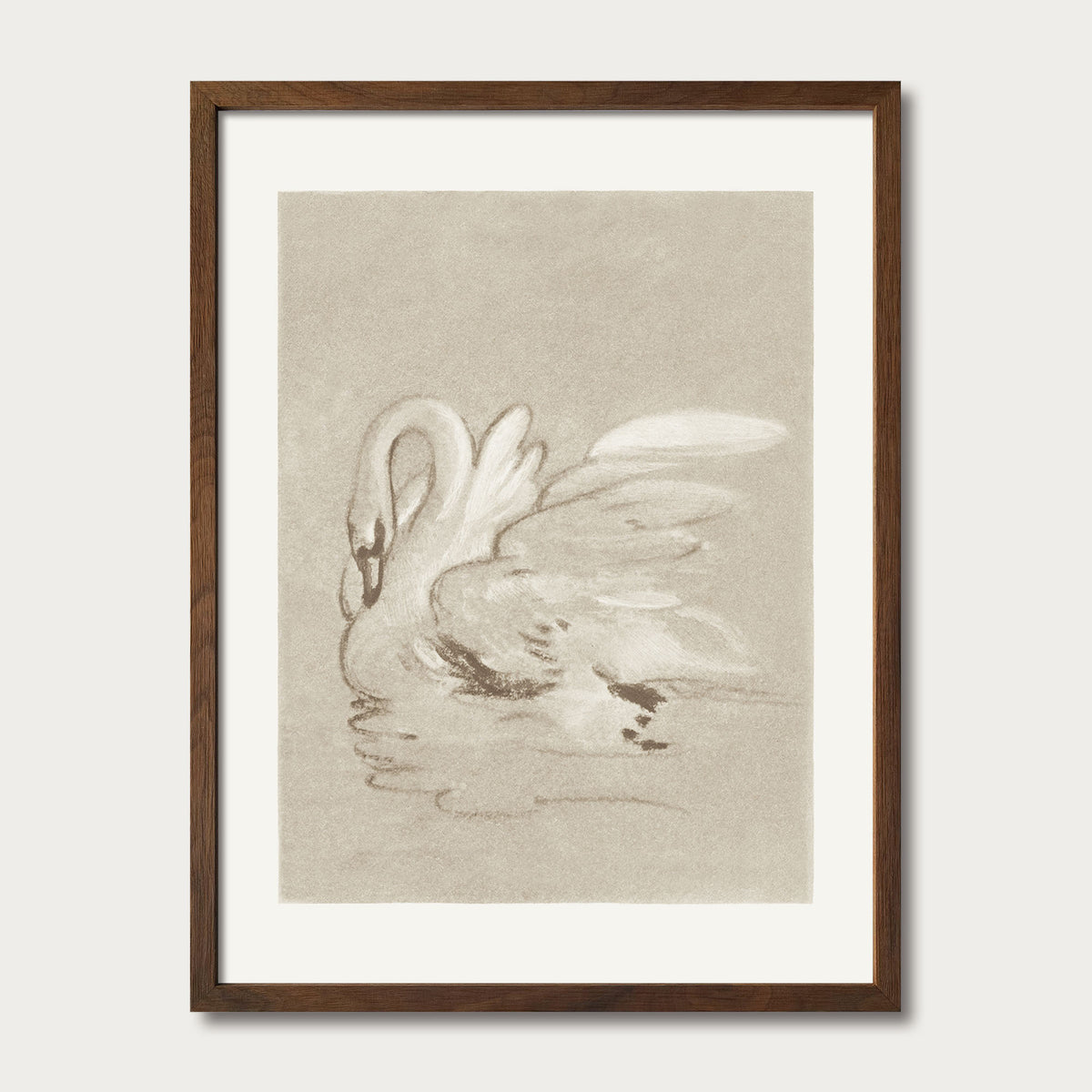 Swan II
