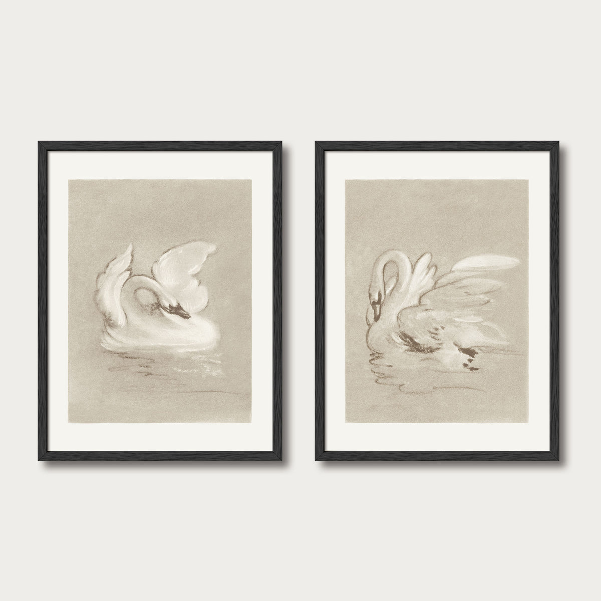 Swan Set I