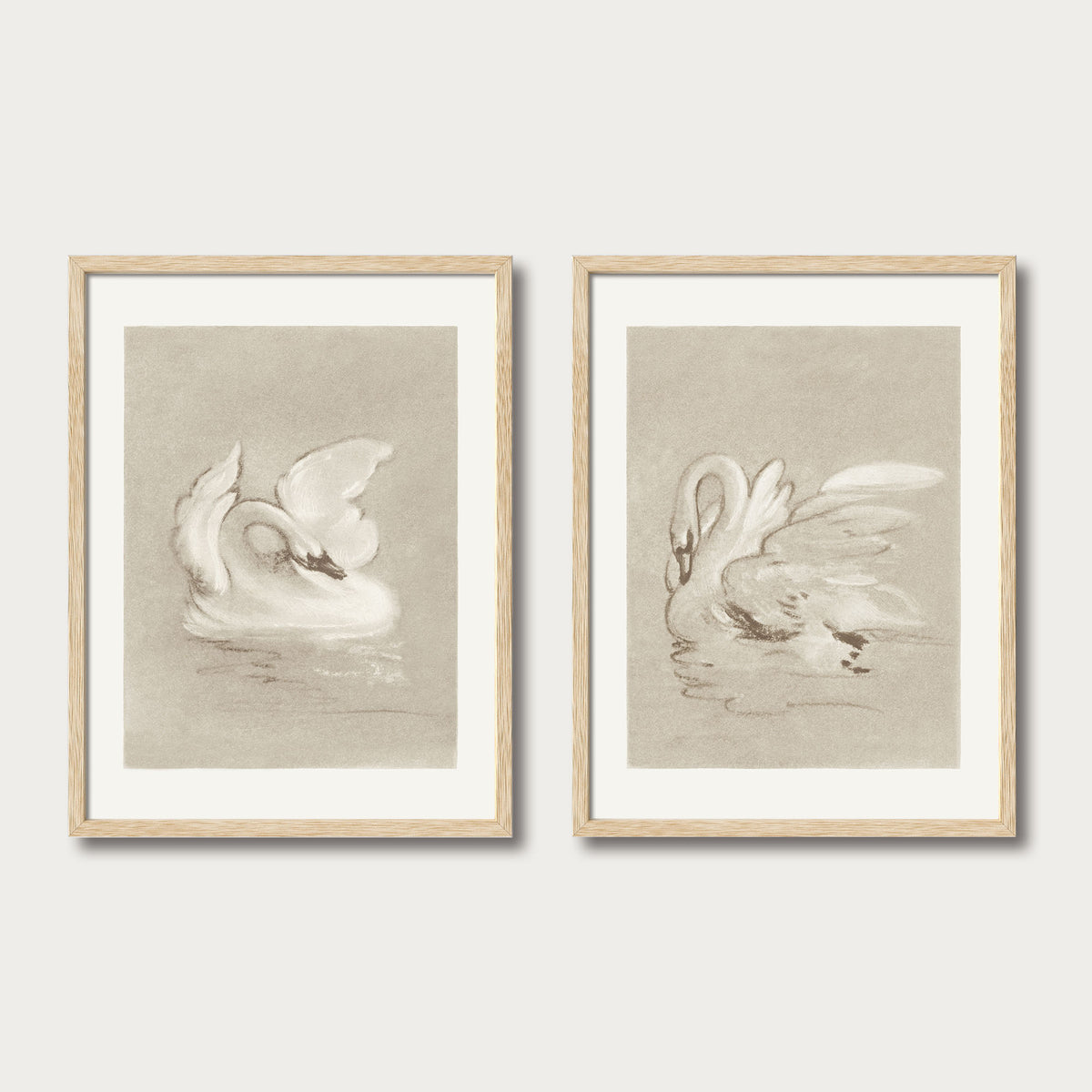 Swan Set I