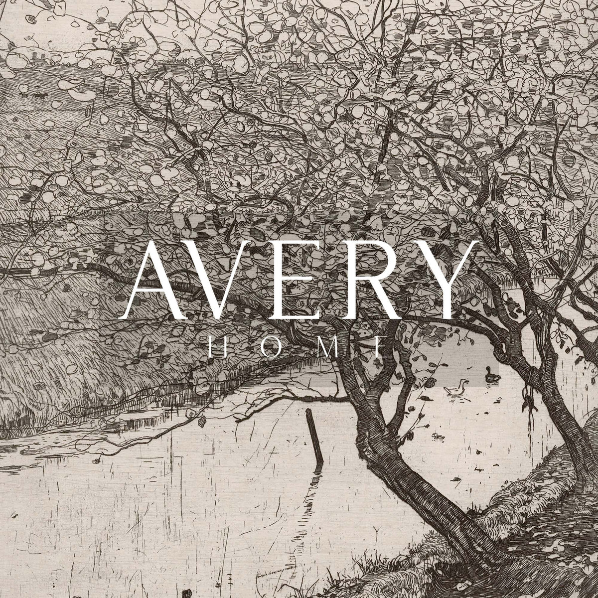 Antique botanical engraving of an old apple tree with twisting branches and dense foliage, illustrated in detailed black-and-white linework.