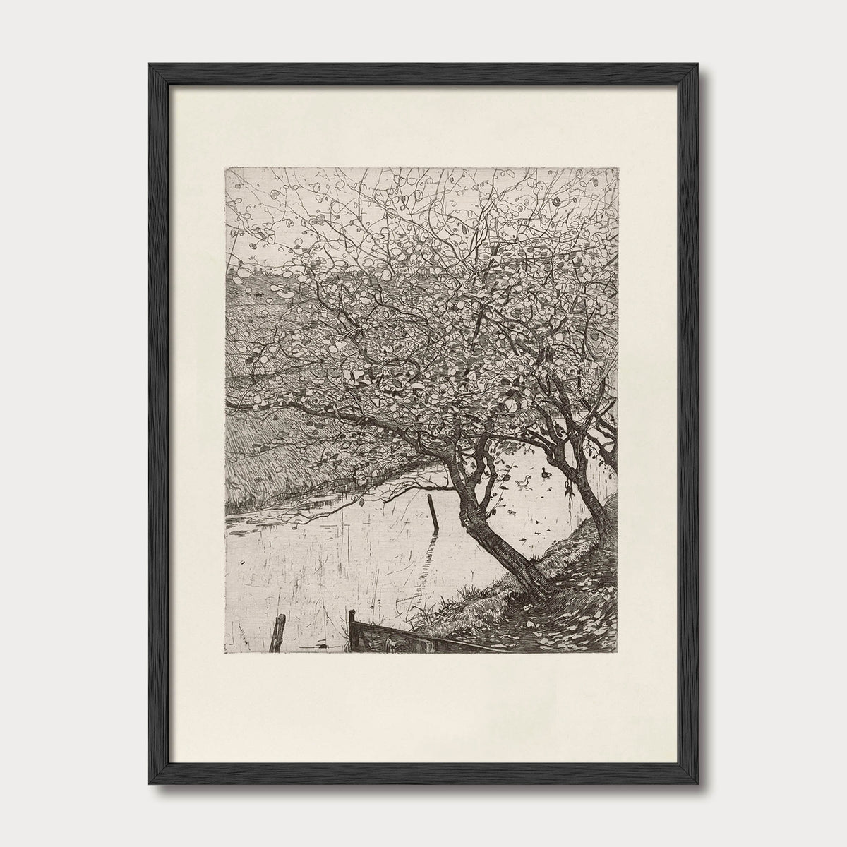 Antique-style black-and-white apple tree illustration in a black oak frame, featuring an old leaning trunk and delicate branches.